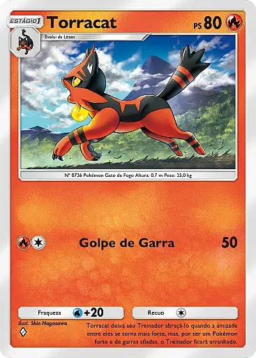 Torracat