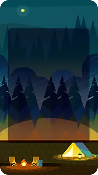 Nighttime Camping