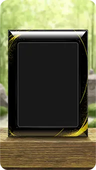 Garden Frame